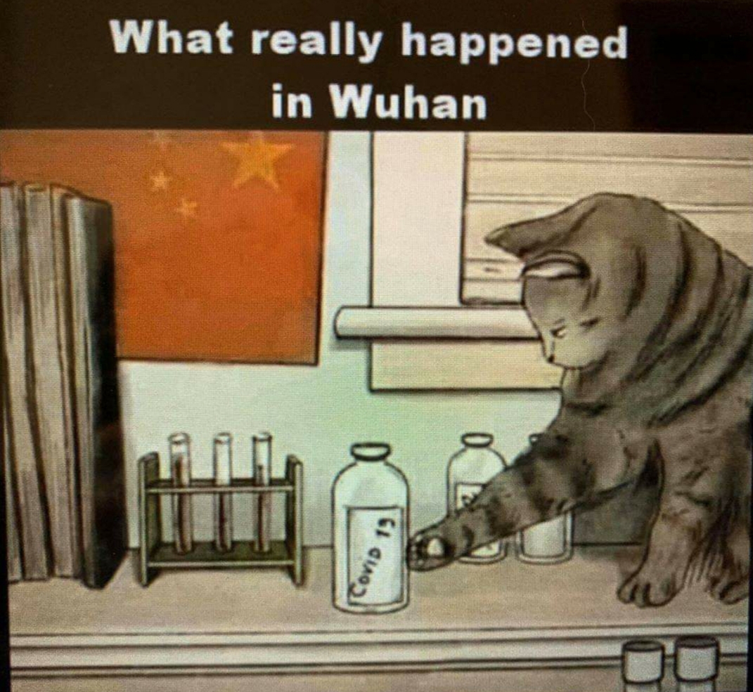 2020-04-09 Wuhan cat.jpg